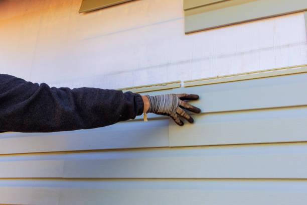 Best Vinyl Siding Installation  in Riverside, MD